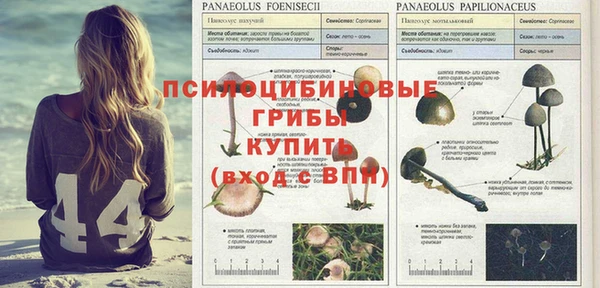 амф Медвежьегорск