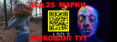 гашик Гатчина