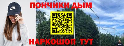apvp Гагарин